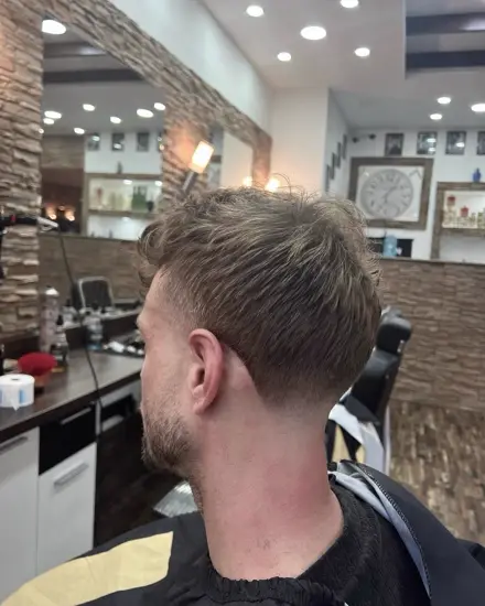 Schnitt 3 aus dem Salon