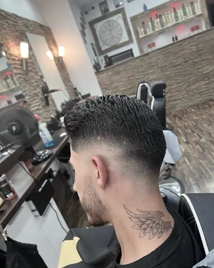 Schnitt 13 aus dem Salon