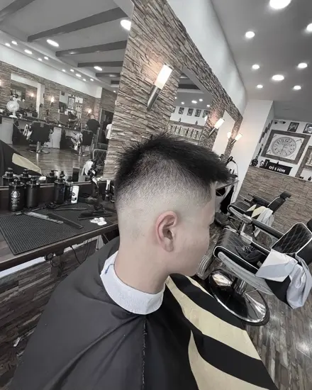 Schnitt 17 aus dem Salon