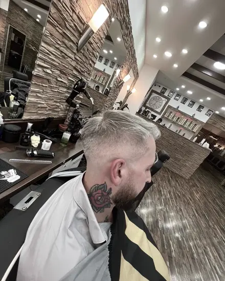 Schnitt 23 aus dem Salon